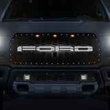 Ford, Raptor, SVT, Grilles, Truck Grilles, Truck, Grille, Grill, 300 Industries, Powder Coat, Aftermarket Accessories