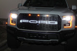 Ford, Raptor, SVT, Grilles, Truck Grilles, Truck, Grille, Grill, 300 Industries, Powder Coat, Aftermarket Accessories